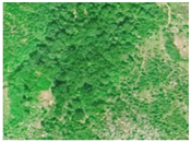 Agronomy 16 01026 i005 Agronomy 16 01026 i005