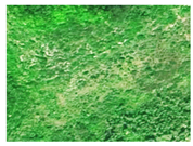 Agronomy 16 01026 i006 Agronomy 16 01026 i006
