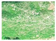 Agronomy 16 01026 i007 Agronomy 16 01026 i007