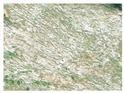 Agronomy 16 01026 i008 Agronomy 16 01026 i008