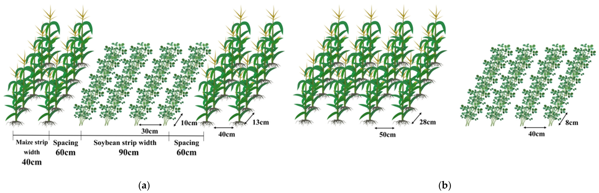 Agronomy 16 01181 g002 Agronomy 16 01181 g002