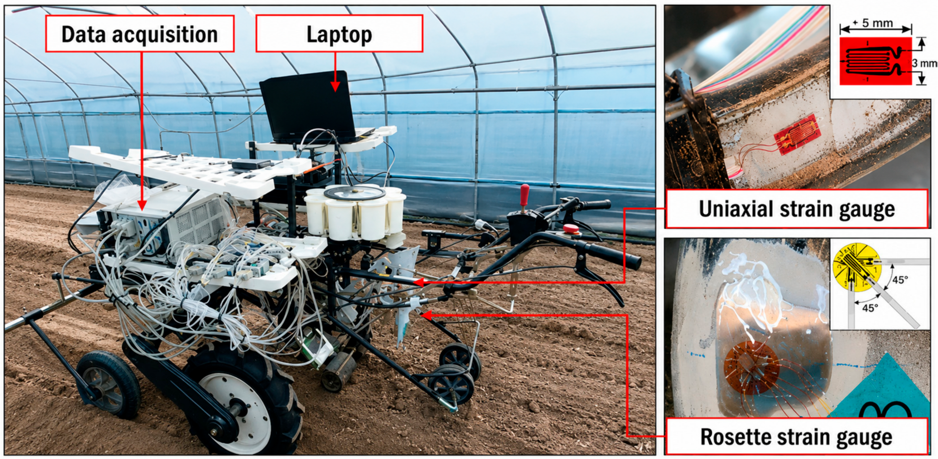 Agronomy 16 01194 g010 Agronomy 16 01194 g010