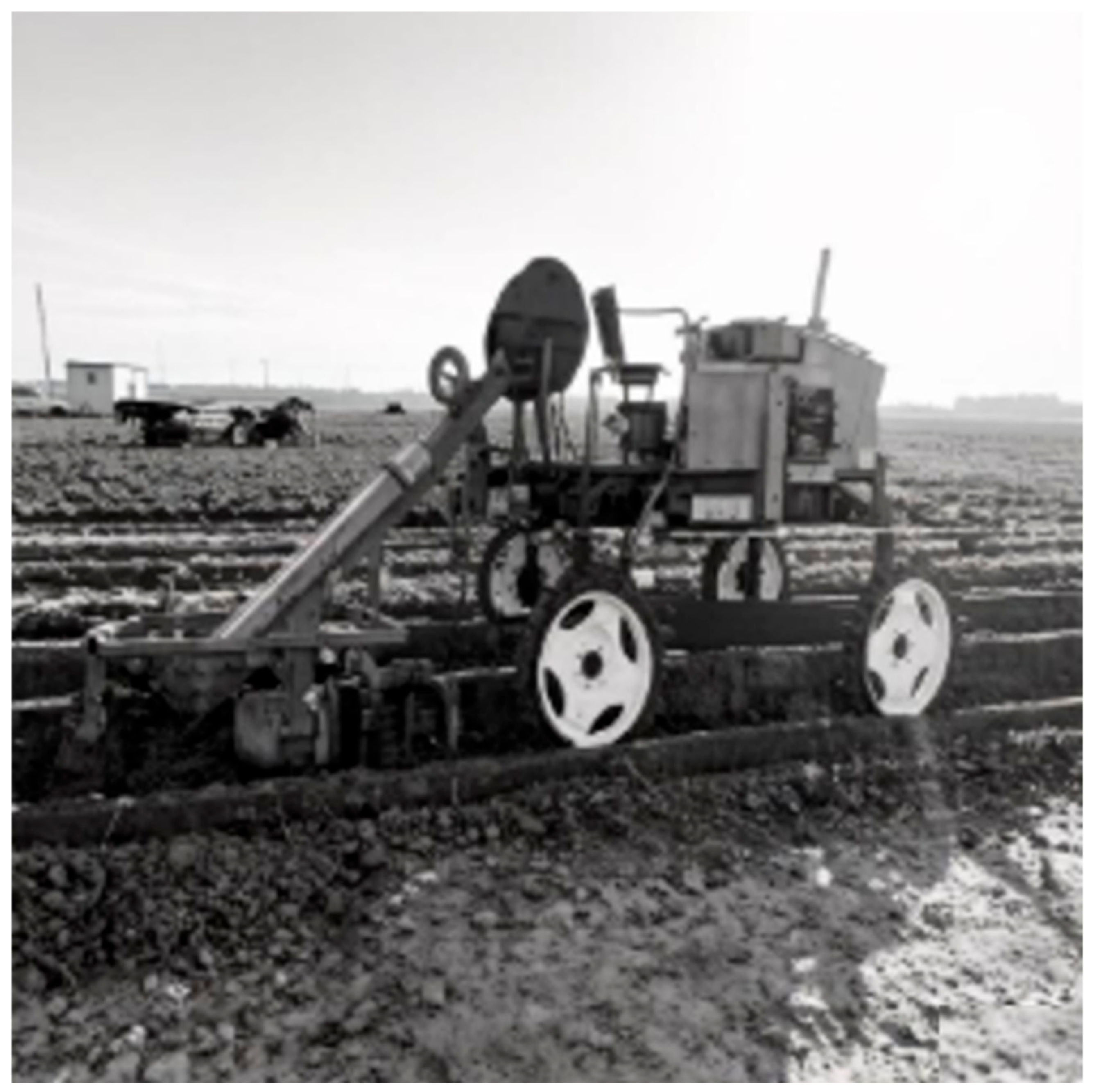 Agronomy 16 01194 g013 Agronomy 16 01194 g013