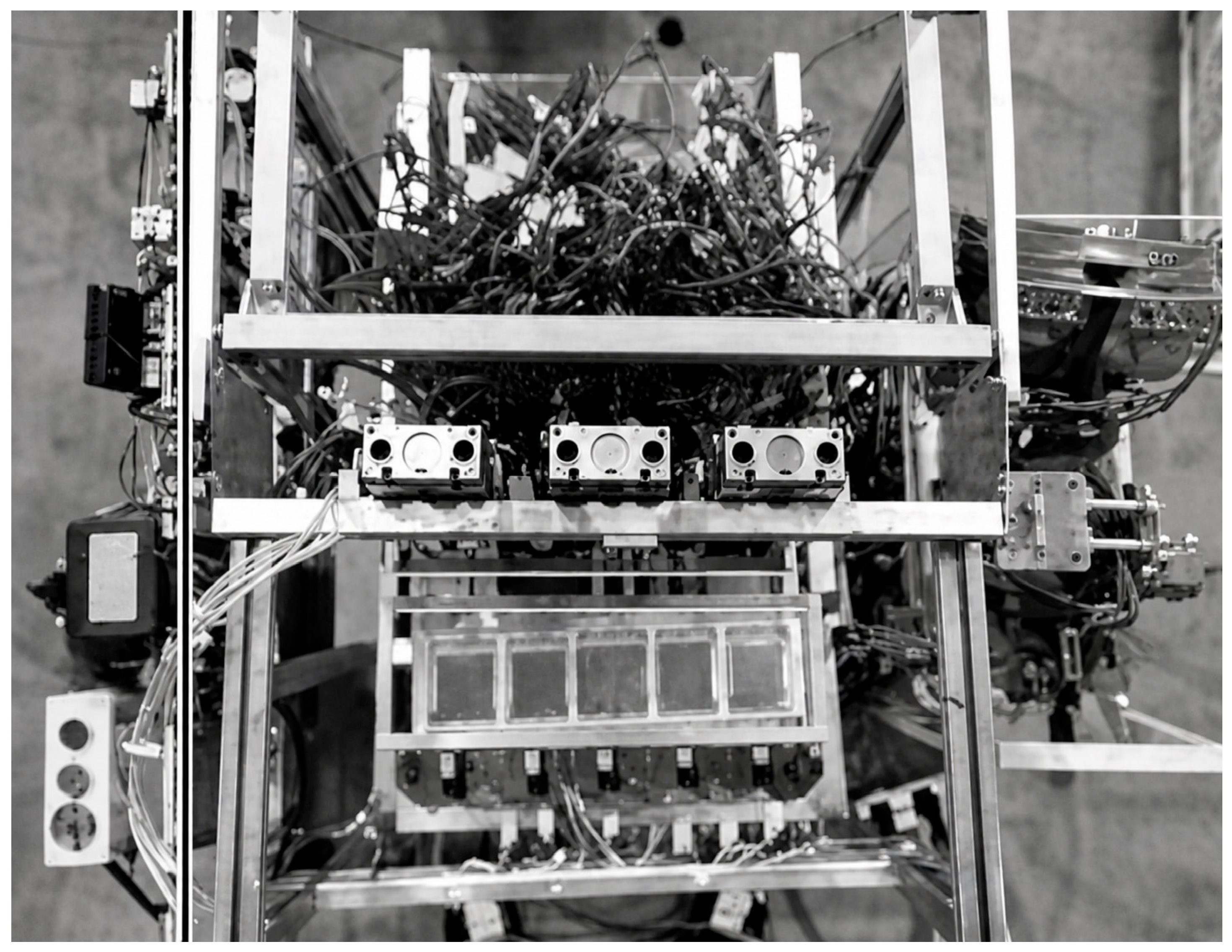 Agronomy 16 01194 g014 Agronomy 16 01194 g014
