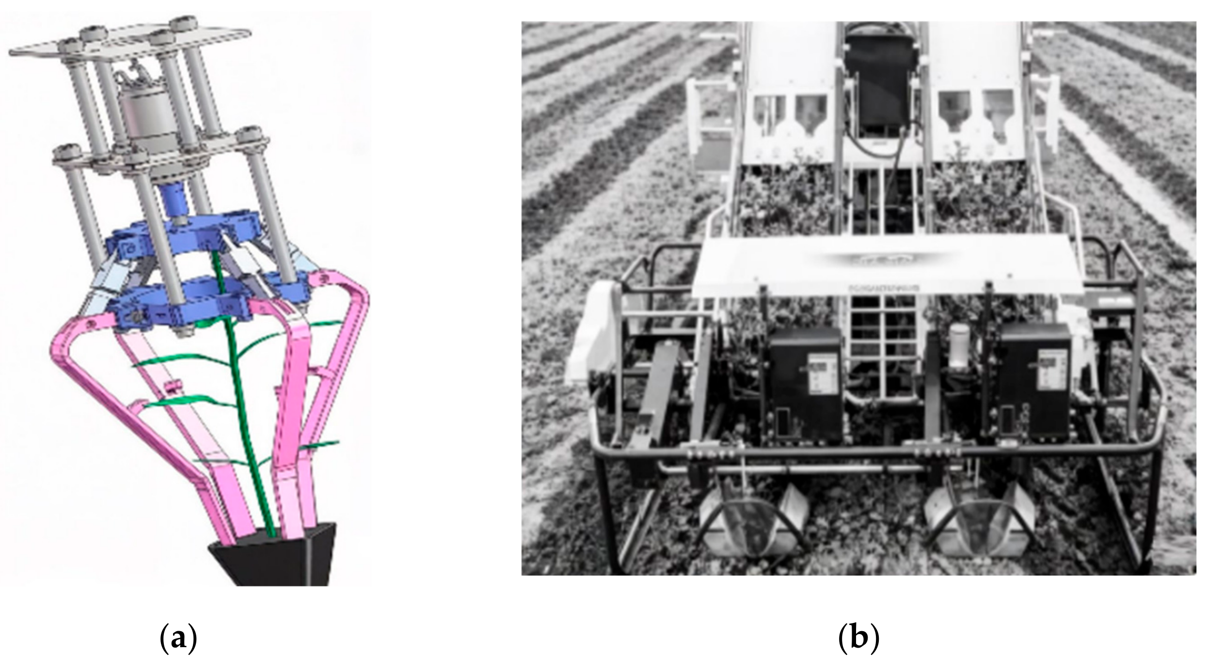 Agronomy 16 01194 g023 Agronomy 16 01194 g023