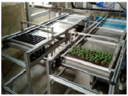 Agronomy 16 01194 i011 Agronomy 16 01194 i011