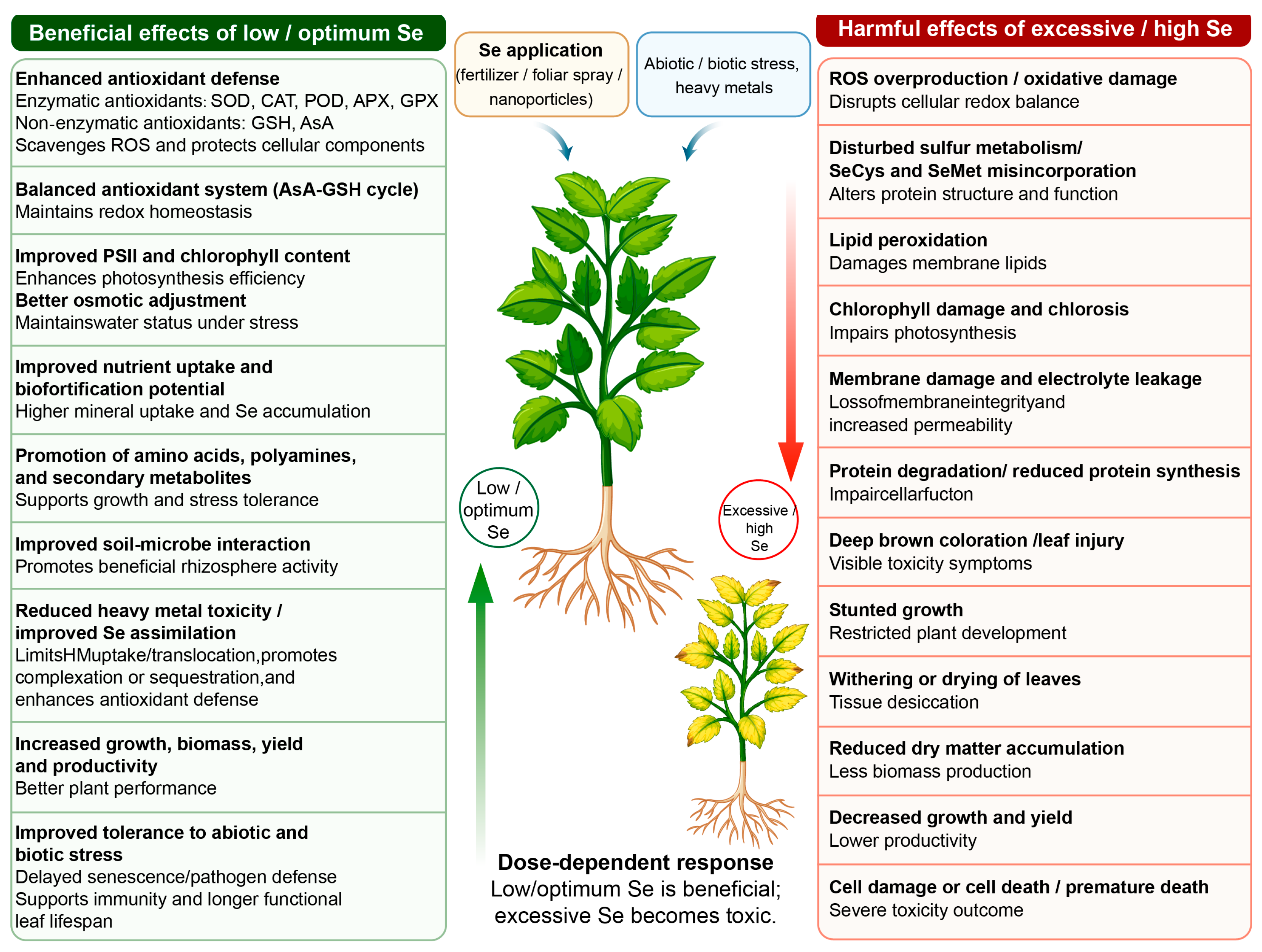 Agronomy 16 01204 g002 Agronomy 16 01204 g002