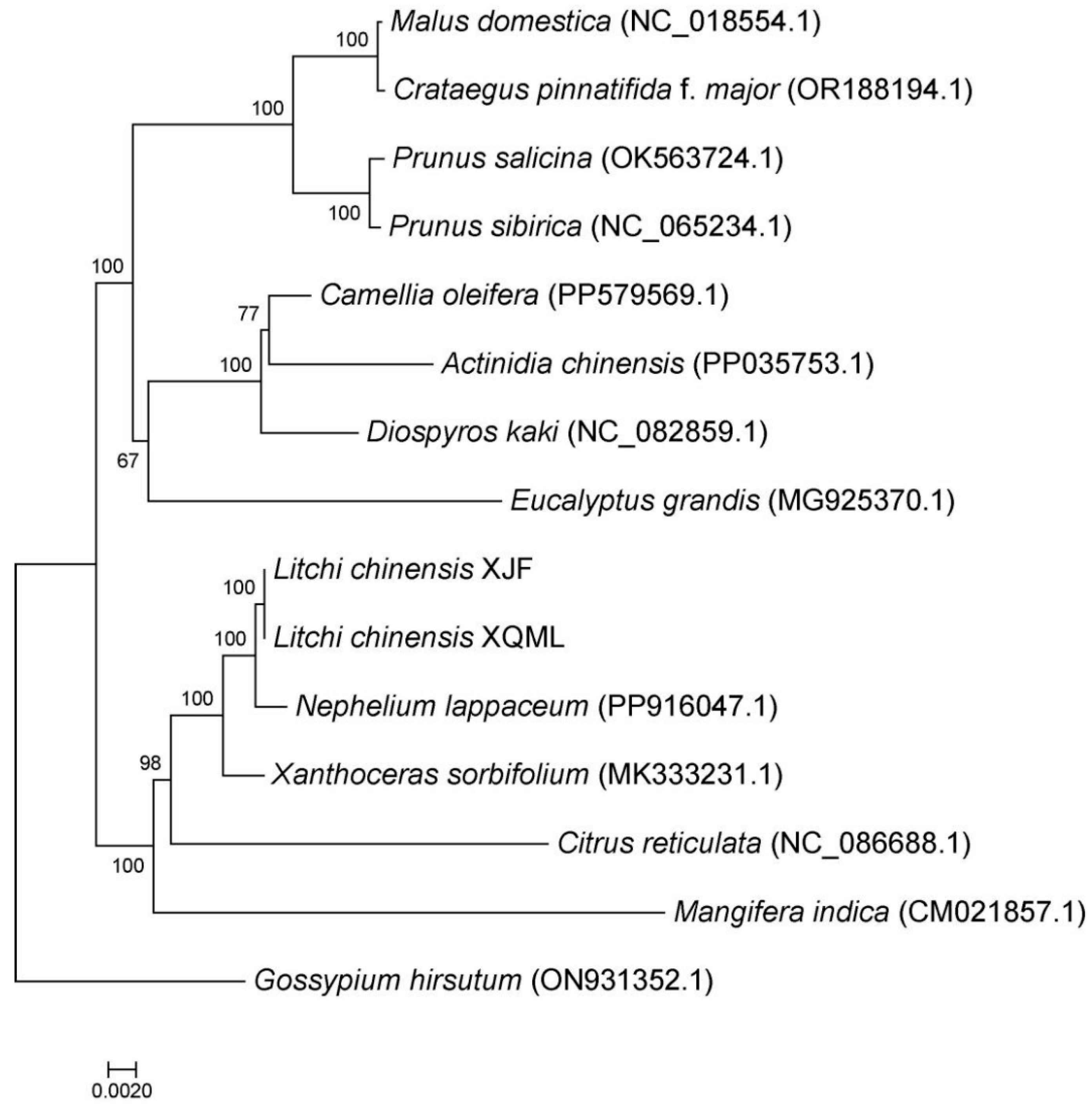 Agronomy 16 01229 g004 Agronomy 16 01229 g004