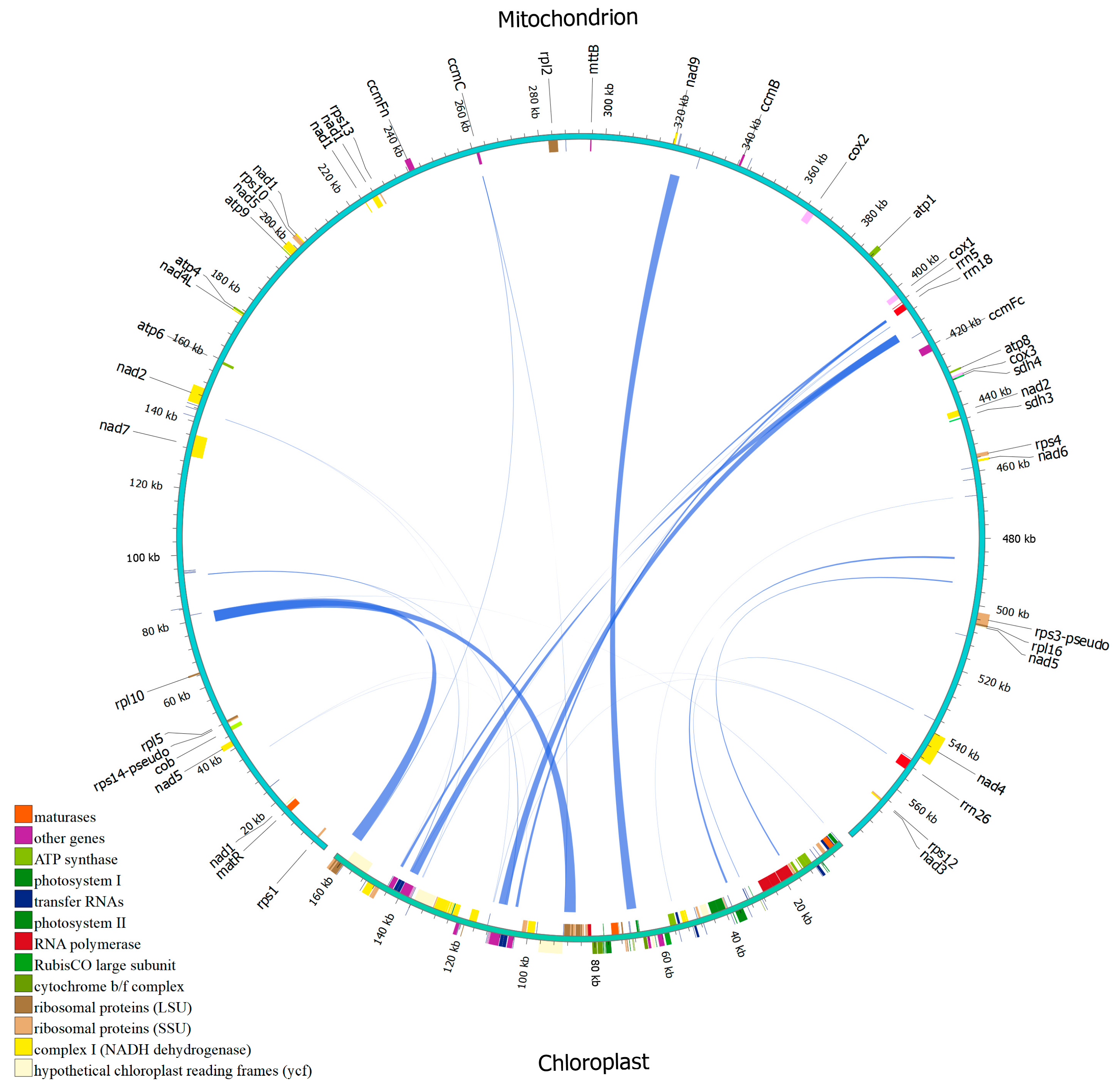 Agronomy 16 01229 g006 Agronomy 16 01229 g006