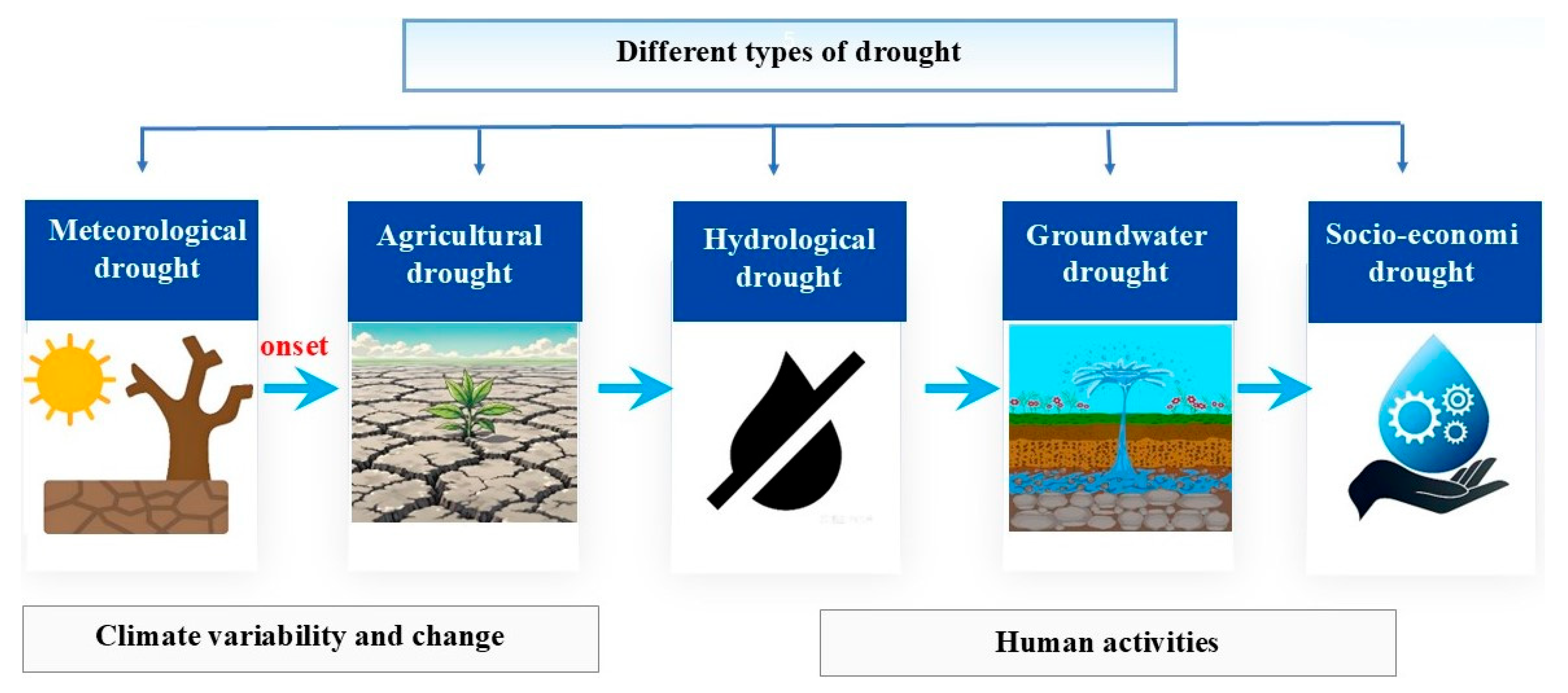 Agronomy 16 01248 g001 Agronomy 16 01248 g001