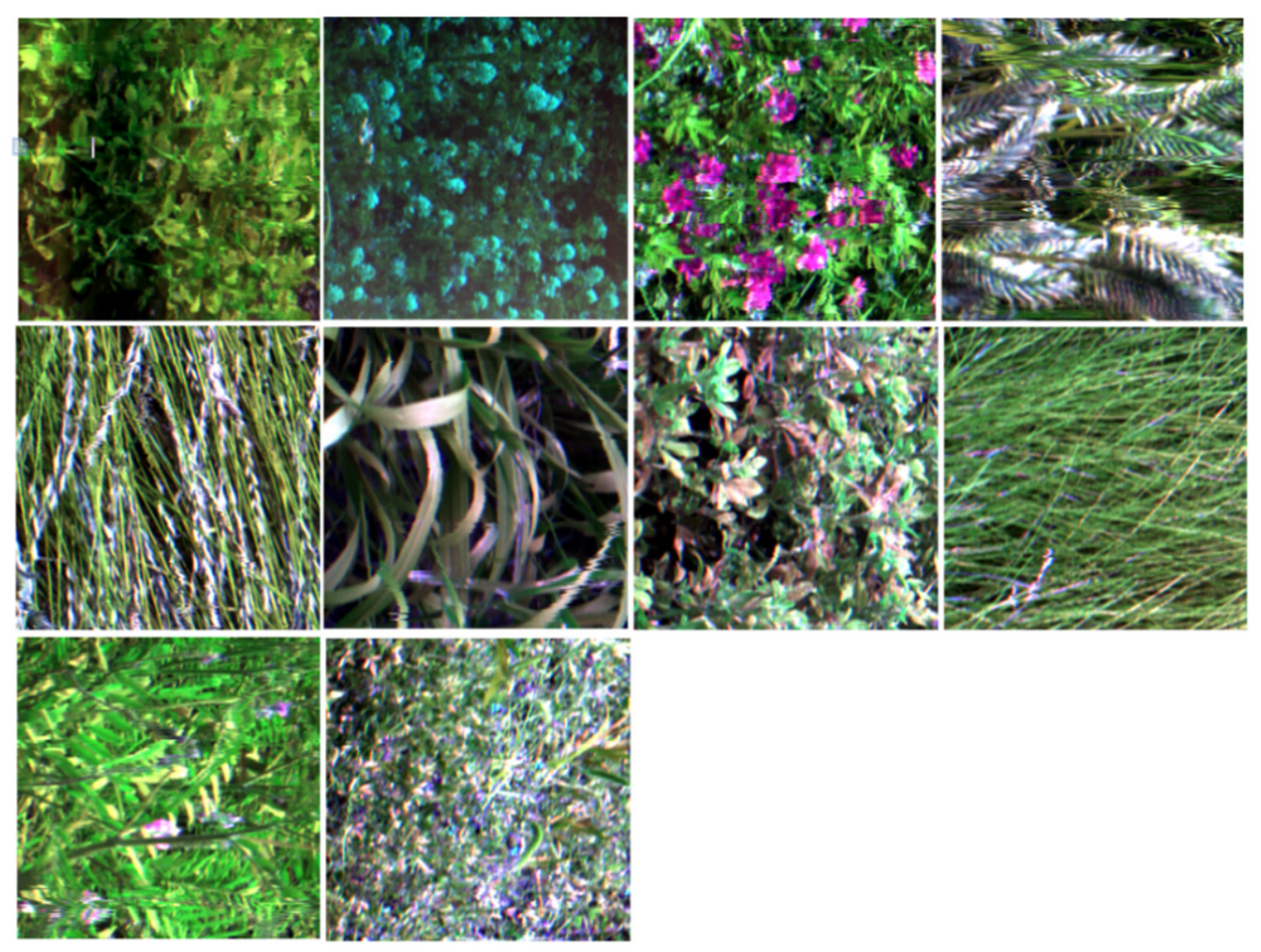 Agronomy 16 01285 g002 Agronomy 16 01285 g002