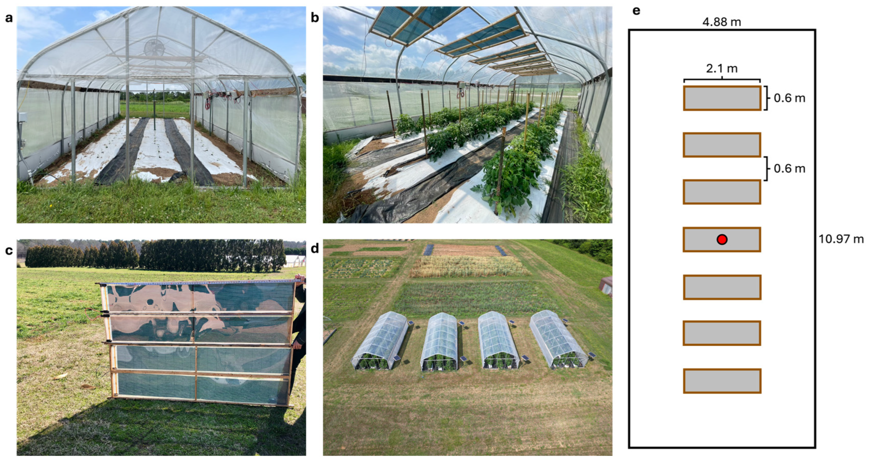 Agronomy 16 01299 g001 Agronomy 16 01299 g001