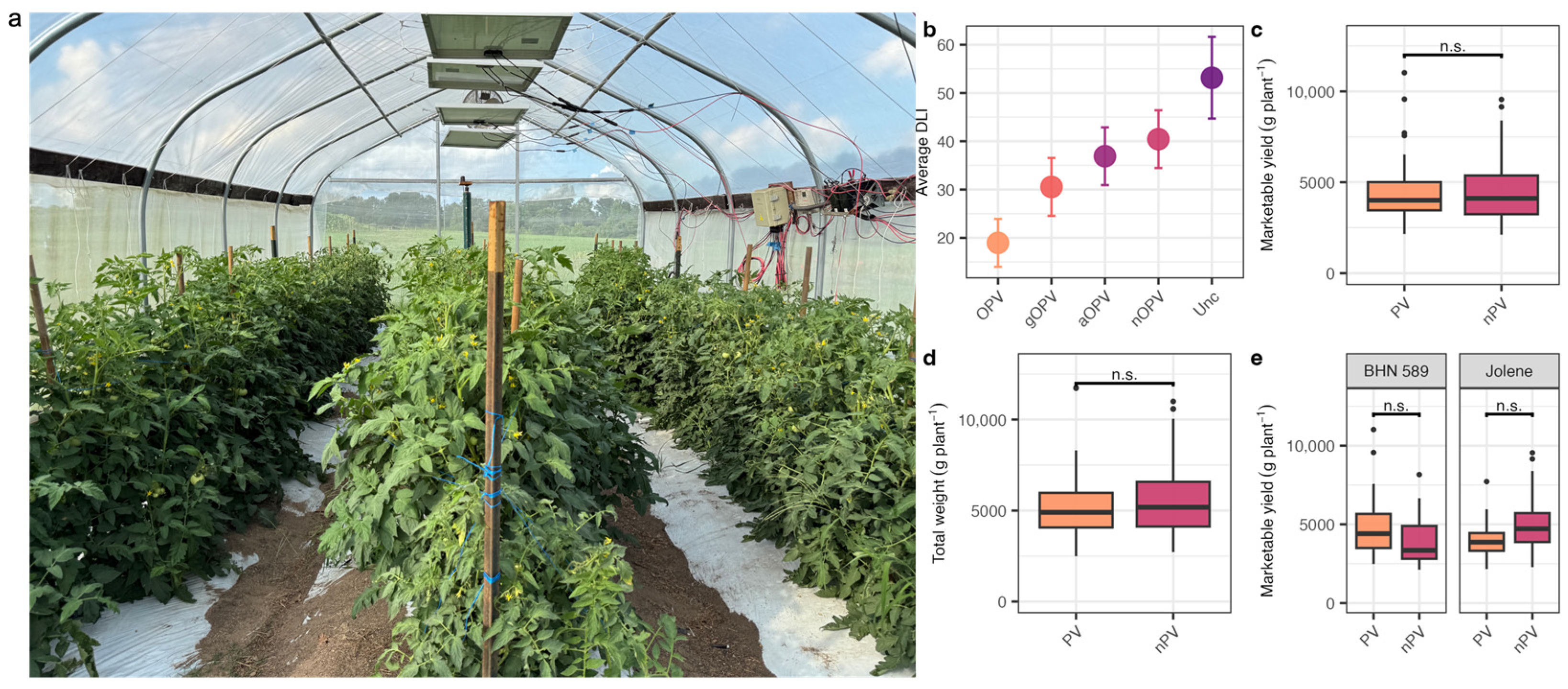 Agronomy 16 01299 g006 Agronomy 16 01299 g006