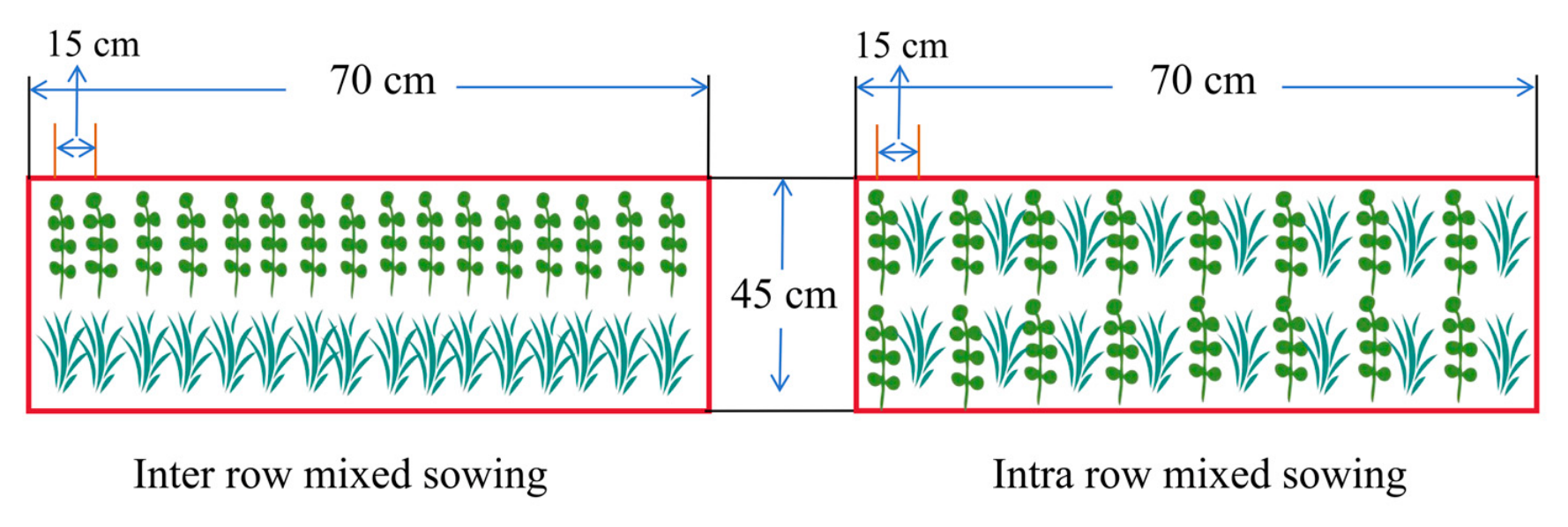 Agronomy 16 01465 g002 Agronomy 16 01465 g002