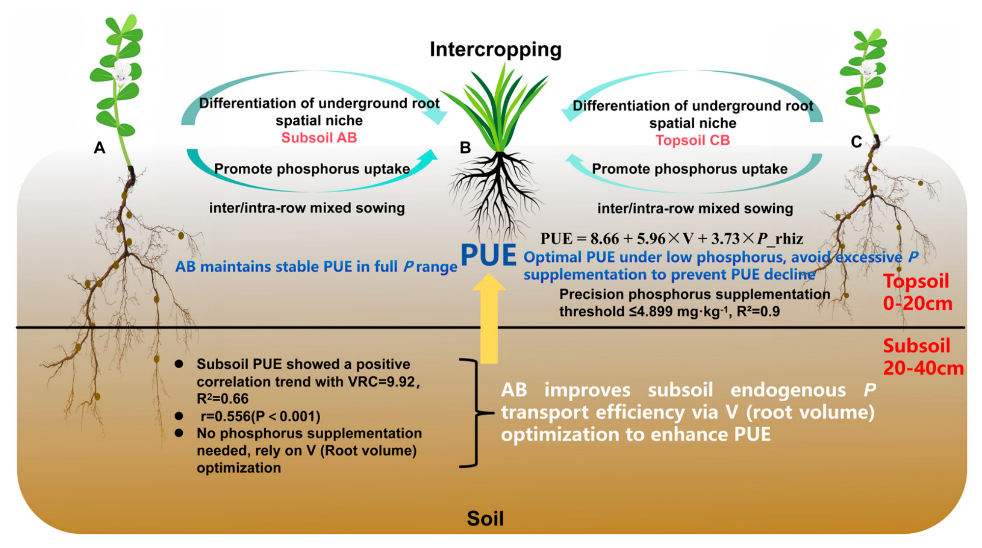 Agronomy 16 01465 g007 Agronomy 16 01465 g007