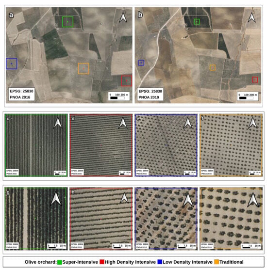 Agronomy 16 01627 g003