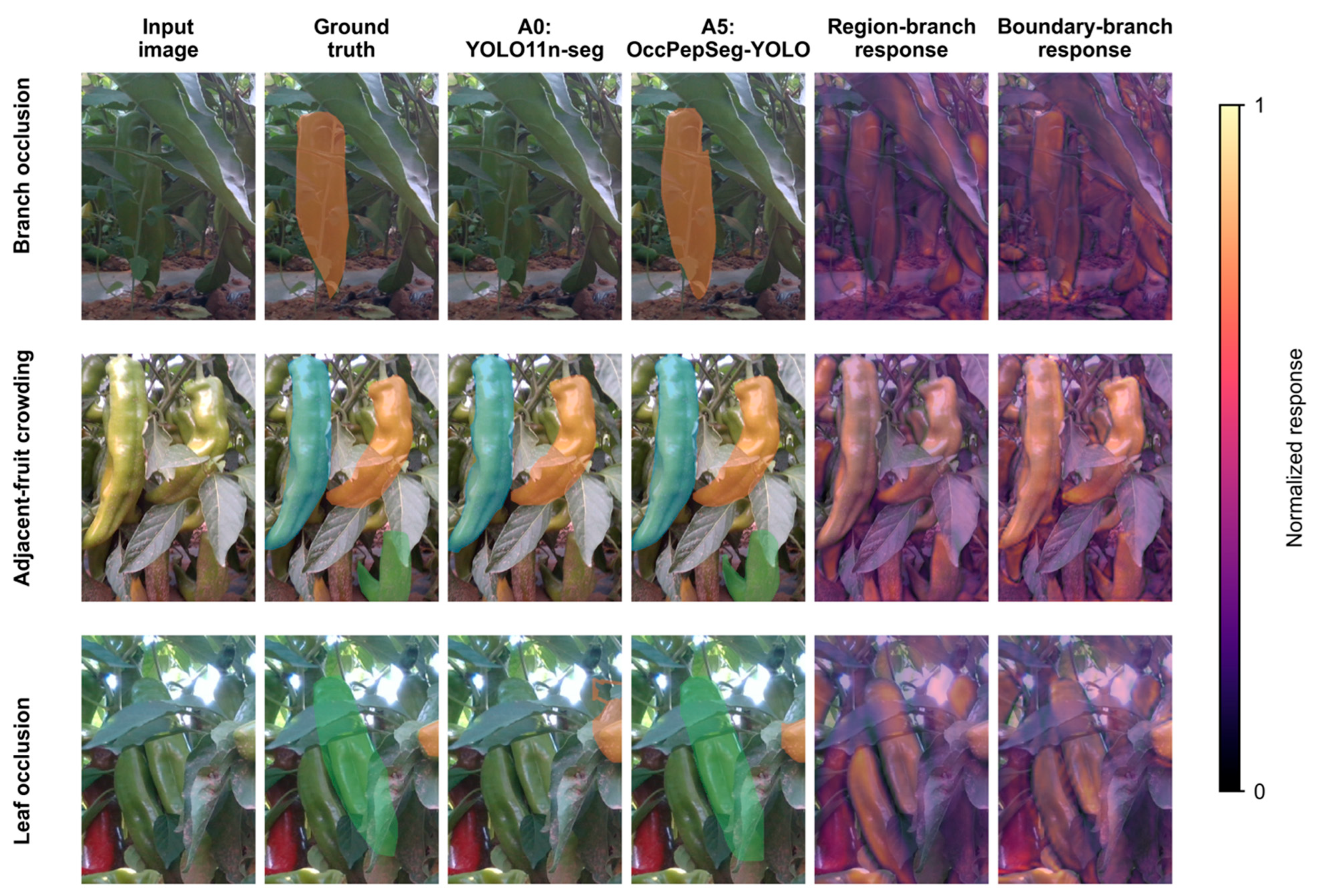 Agronomy 16 01646 g010 Agronomy 16 01646 g010