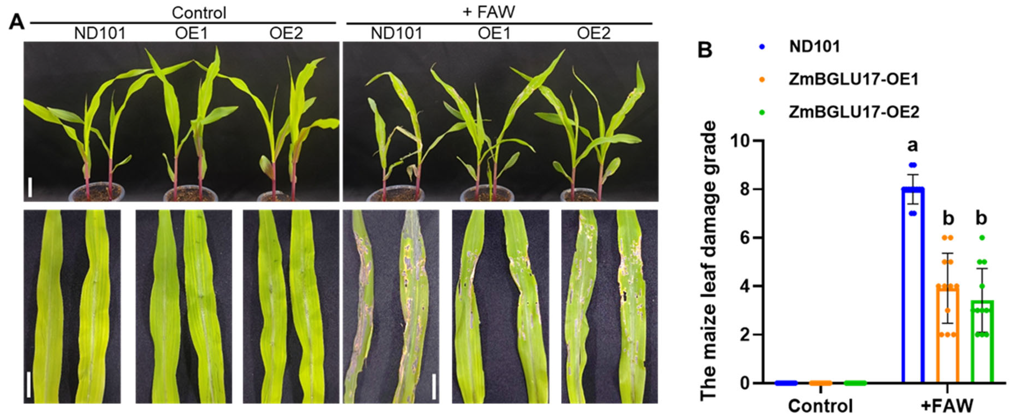Agronomy 16 01683 g003 Agronomy 16 01683 g003