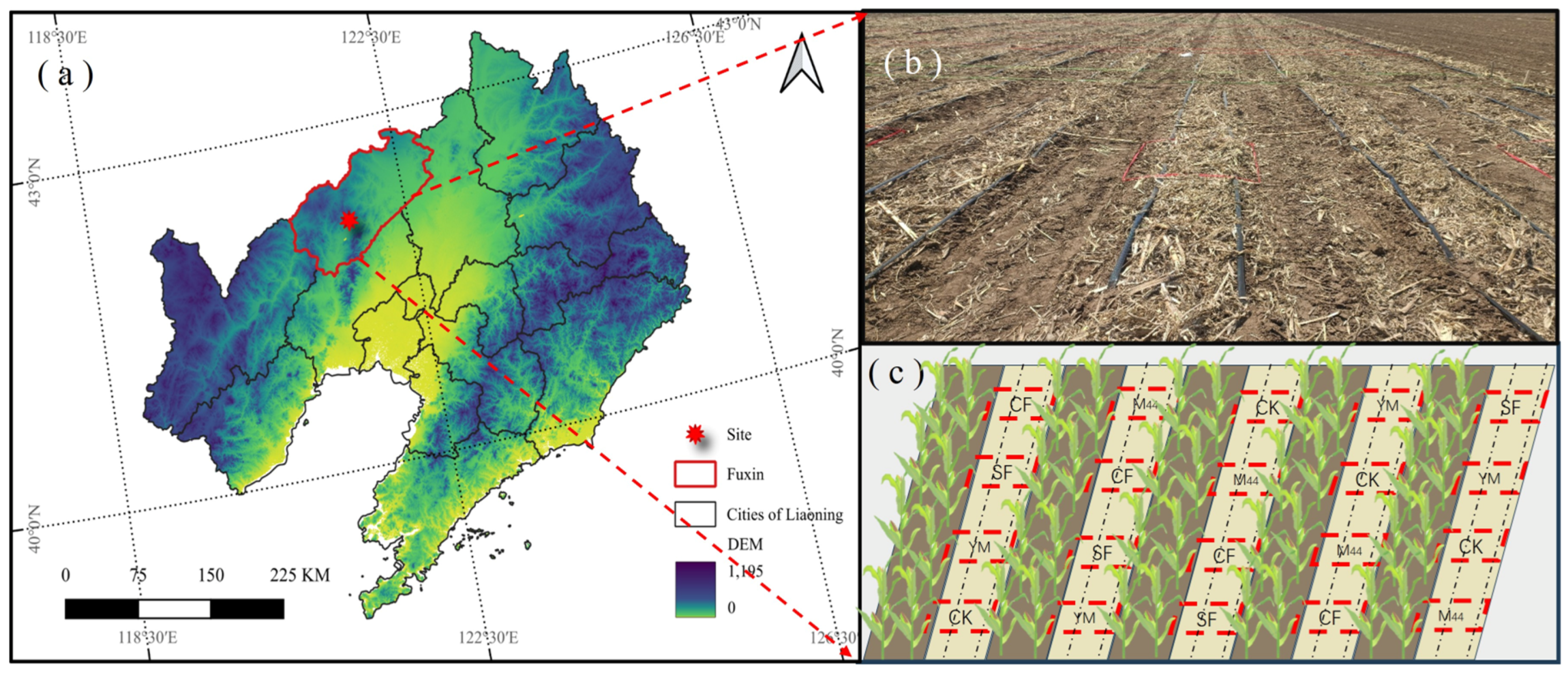 Agronomy 16 01816 g002 Agronomy 16 01816 g002