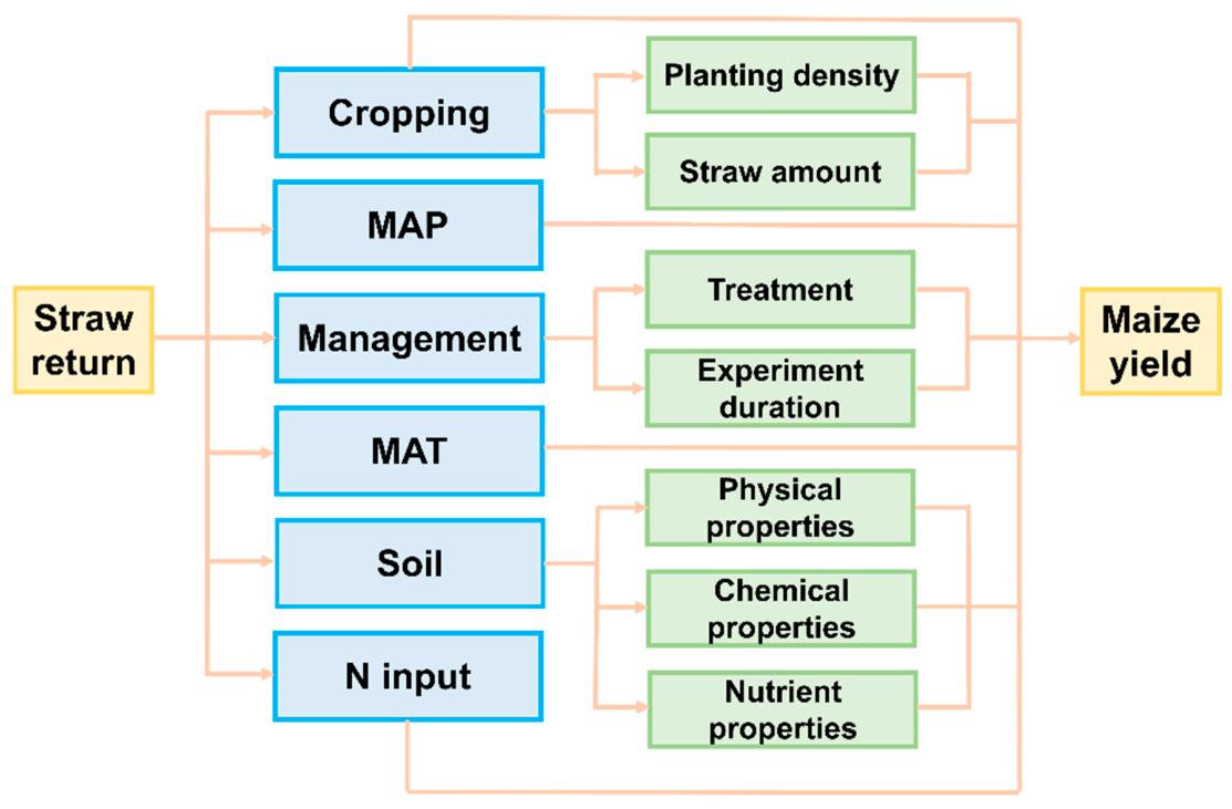 Agronomy 16 01834 g001