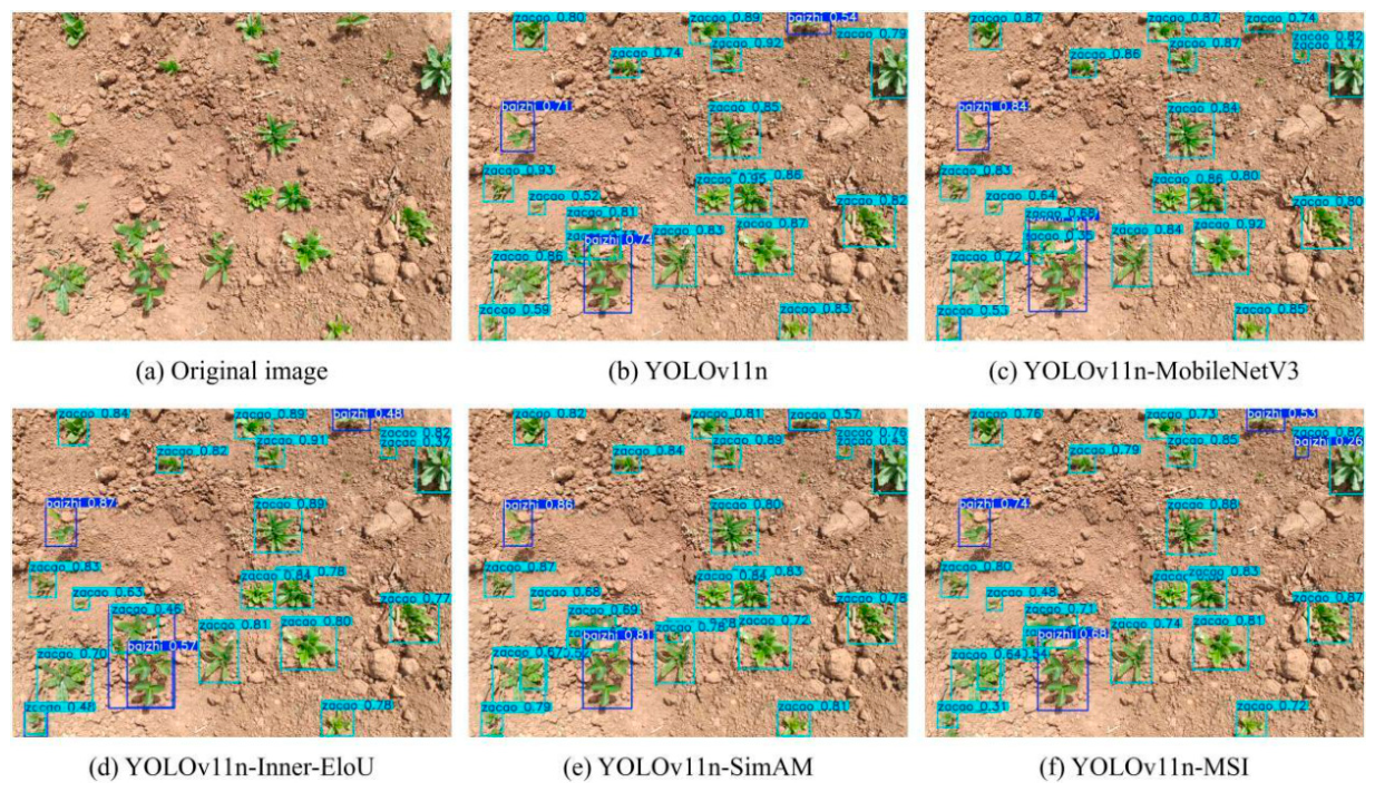 Agronomy 16 01840 g009