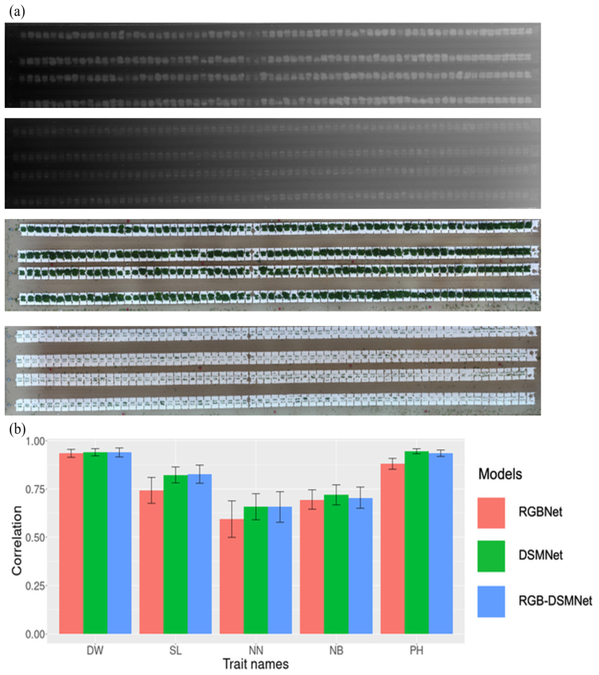 Agronomy 16 01852 g008 Agronomy 16 01852 g008