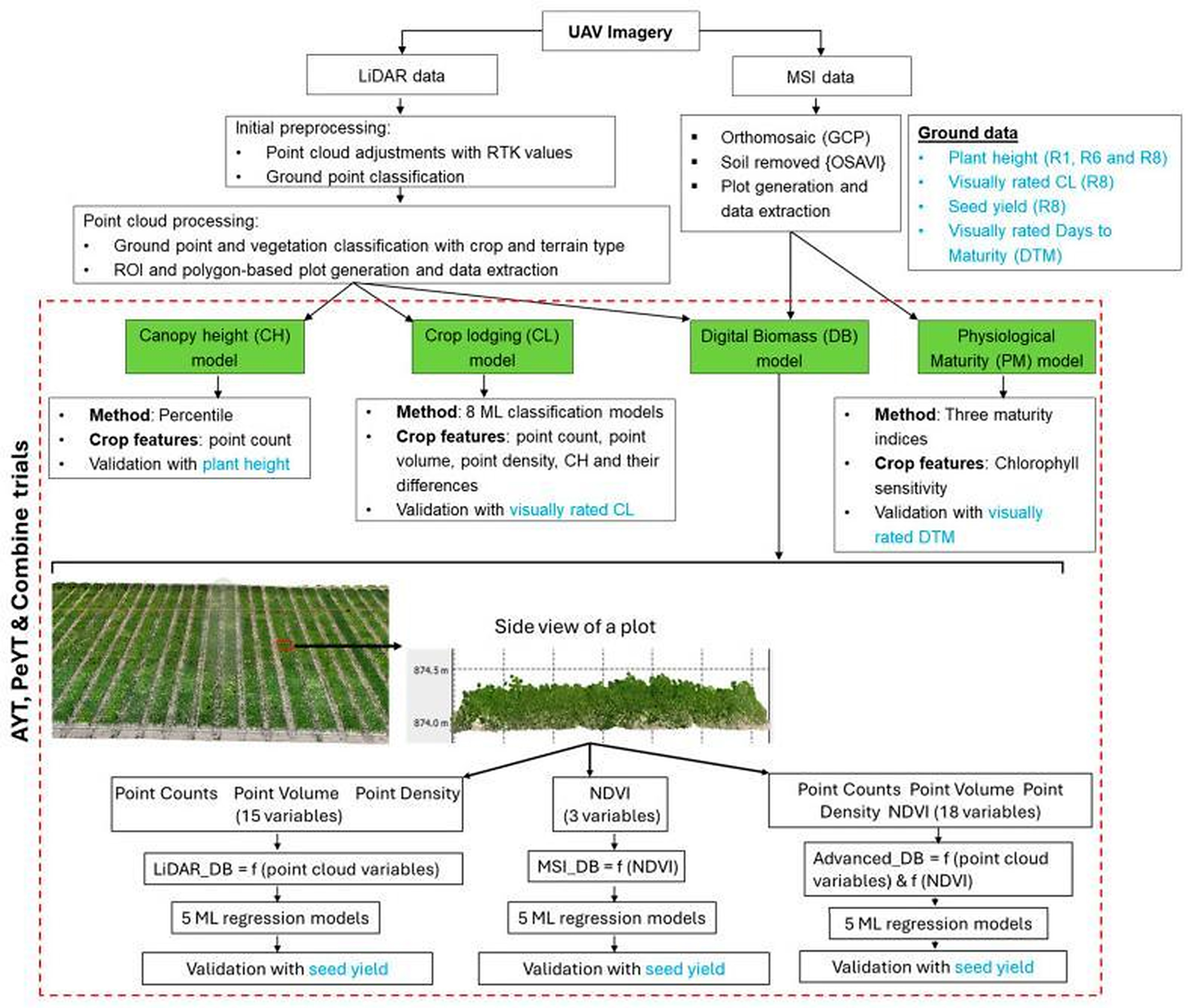 Agronomy 16 01852 g009 Agronomy 16 01852 g009