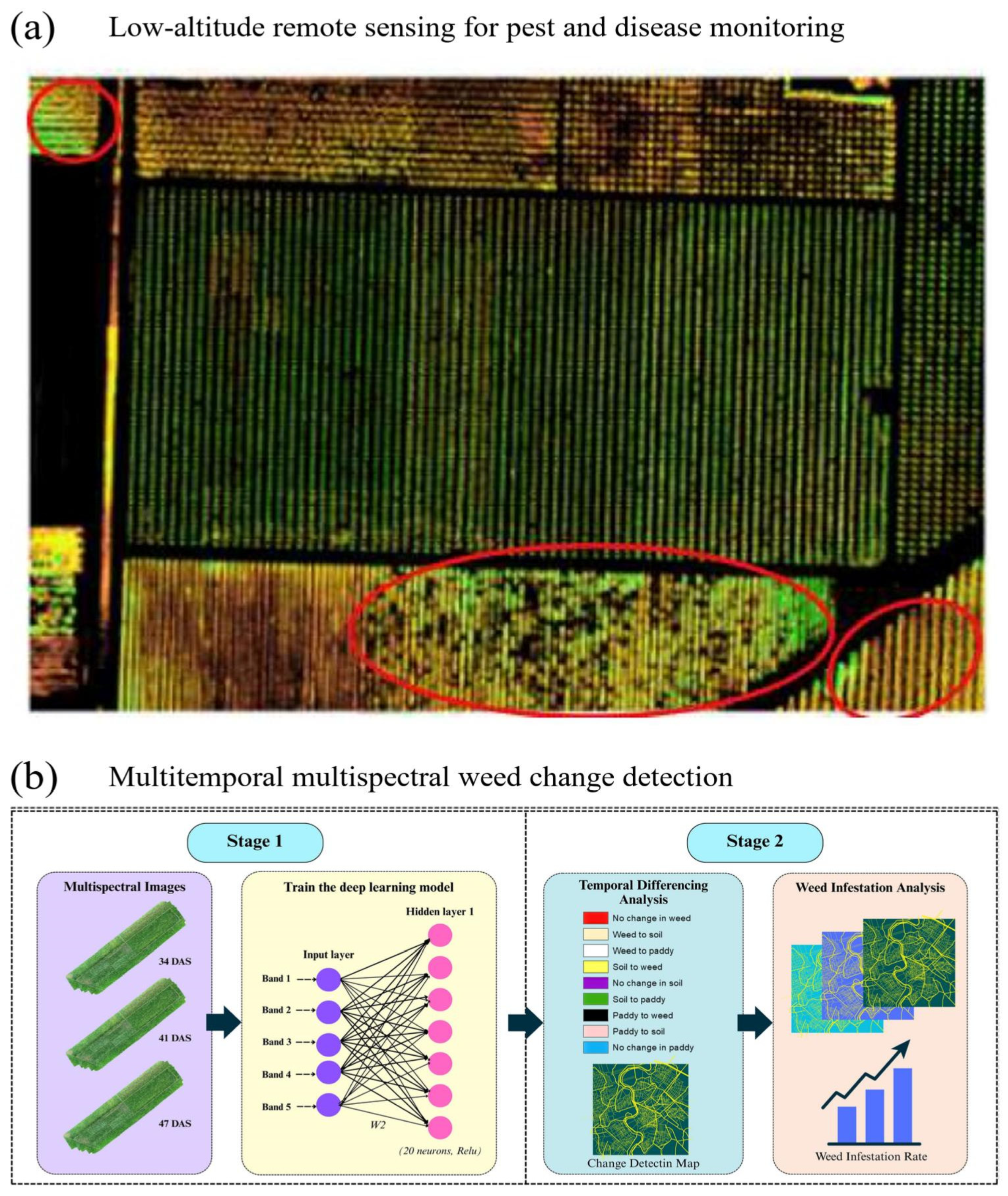 Agronomy 16 01852 g010 Agronomy 16 01852 g010