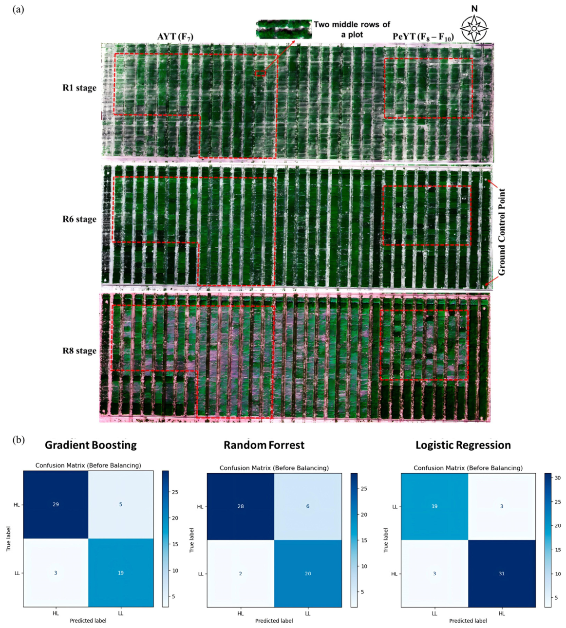 Agronomy 16 01852 g012 Agronomy 16 01852 g012