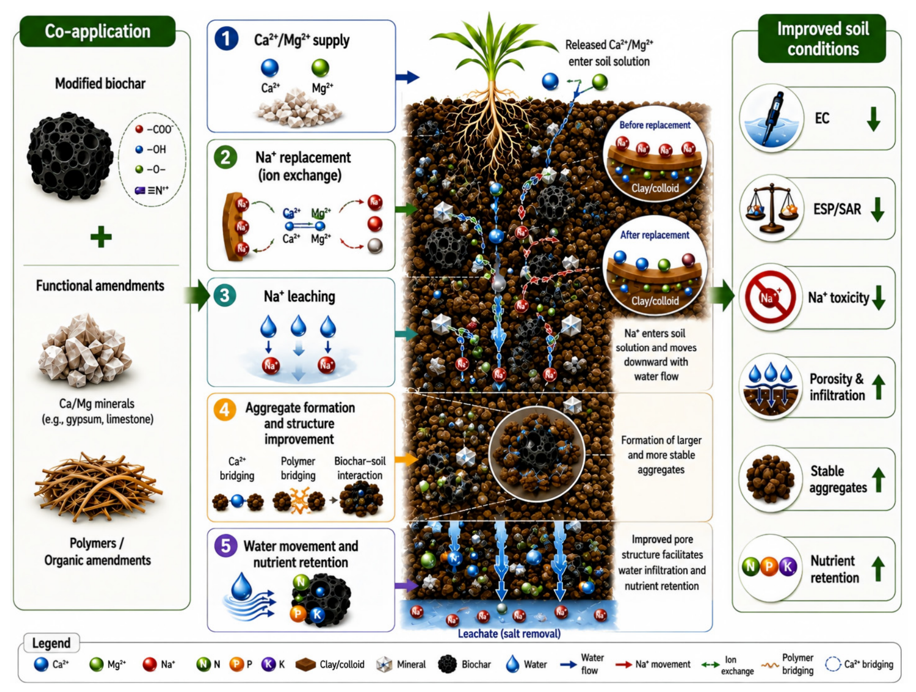 Agronomy 16 02020 g002 Agronomy 16 02020 g002