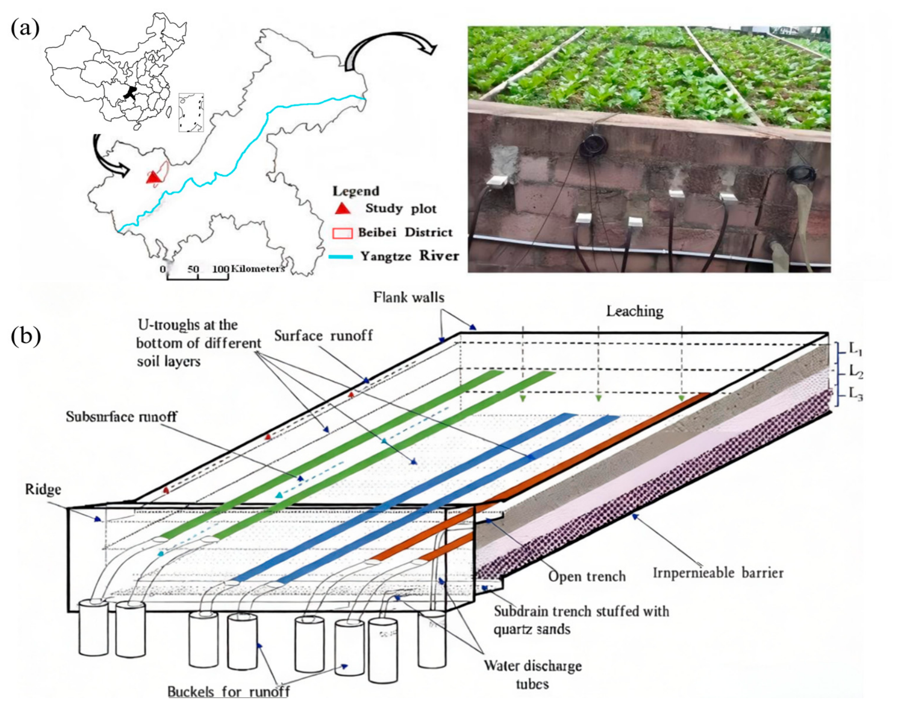 Agronomy 16 02054 g001 Agronomy 16 02054 g001
