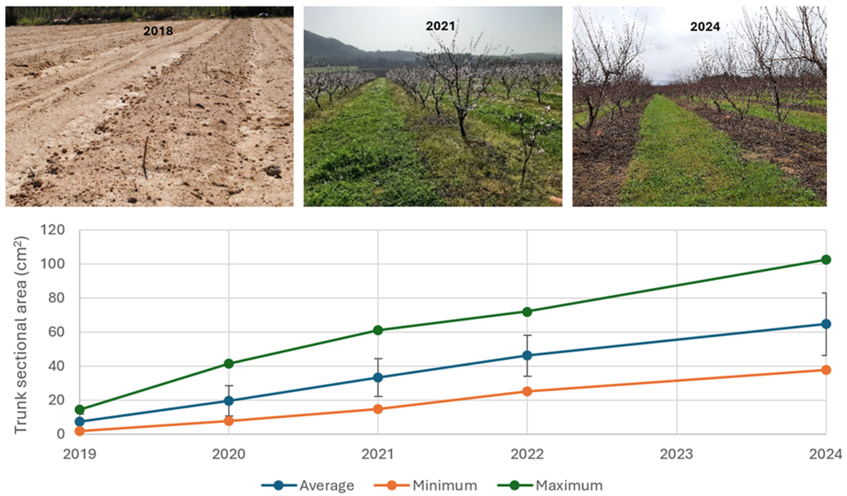 Agronomy 16 02057 g003 Agronomy 16 02057 g003