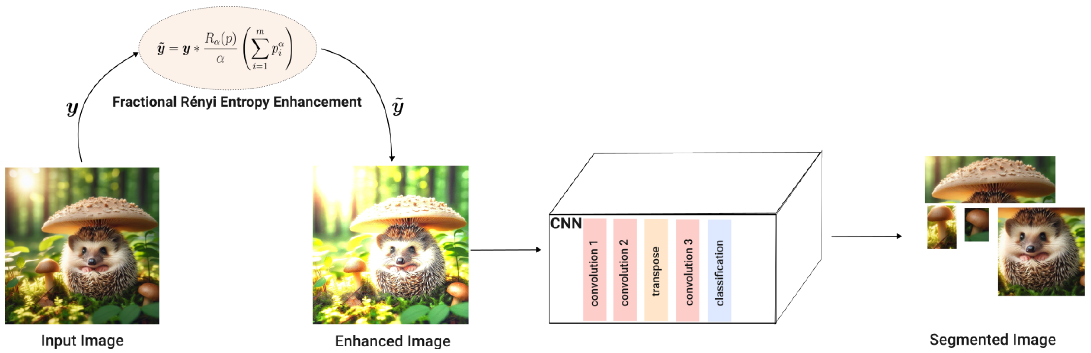 Ai 05 00067 g005 Ai 05 00067 g005