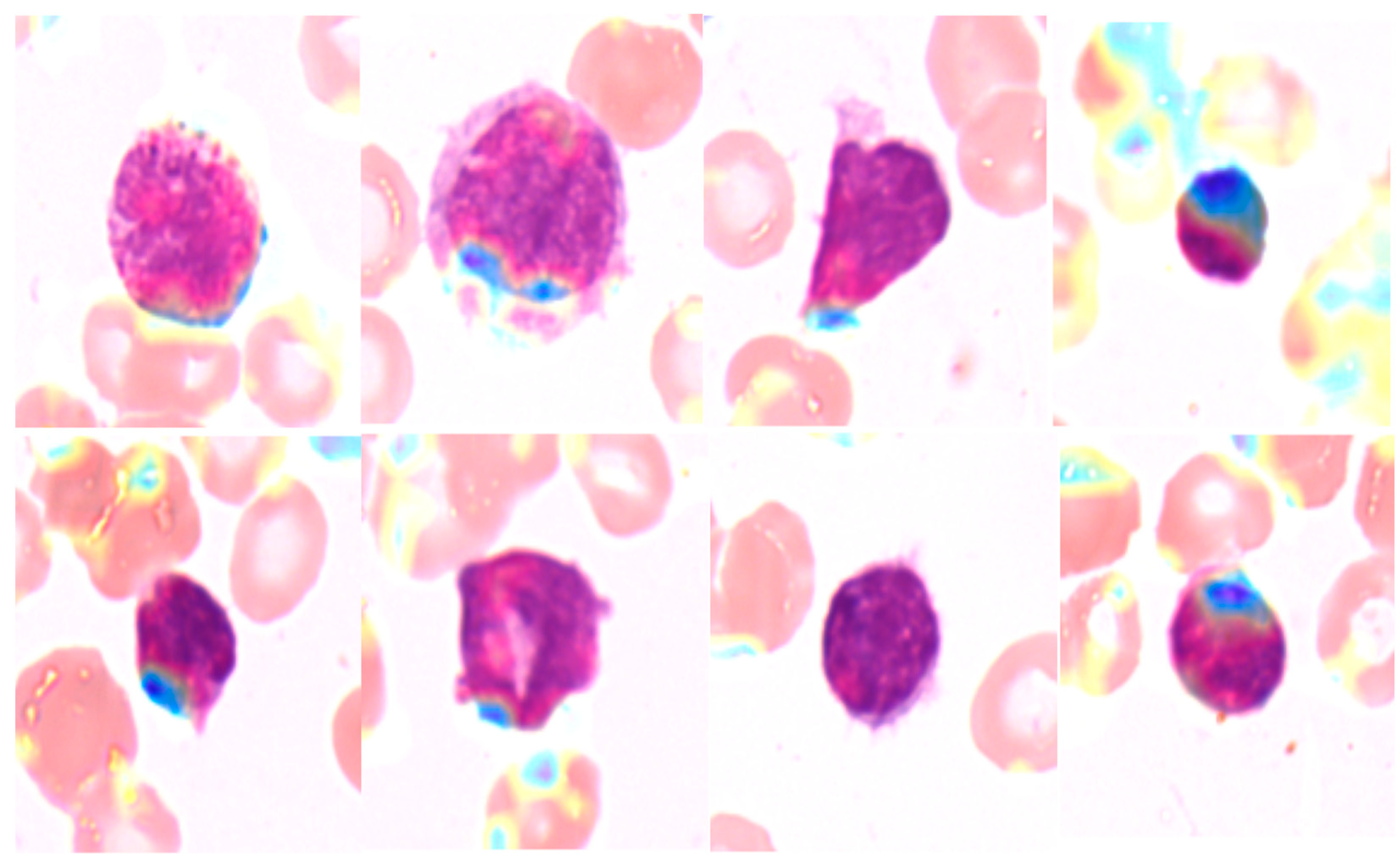 Ai 06 00045 g006 Ai 06 00045 g006