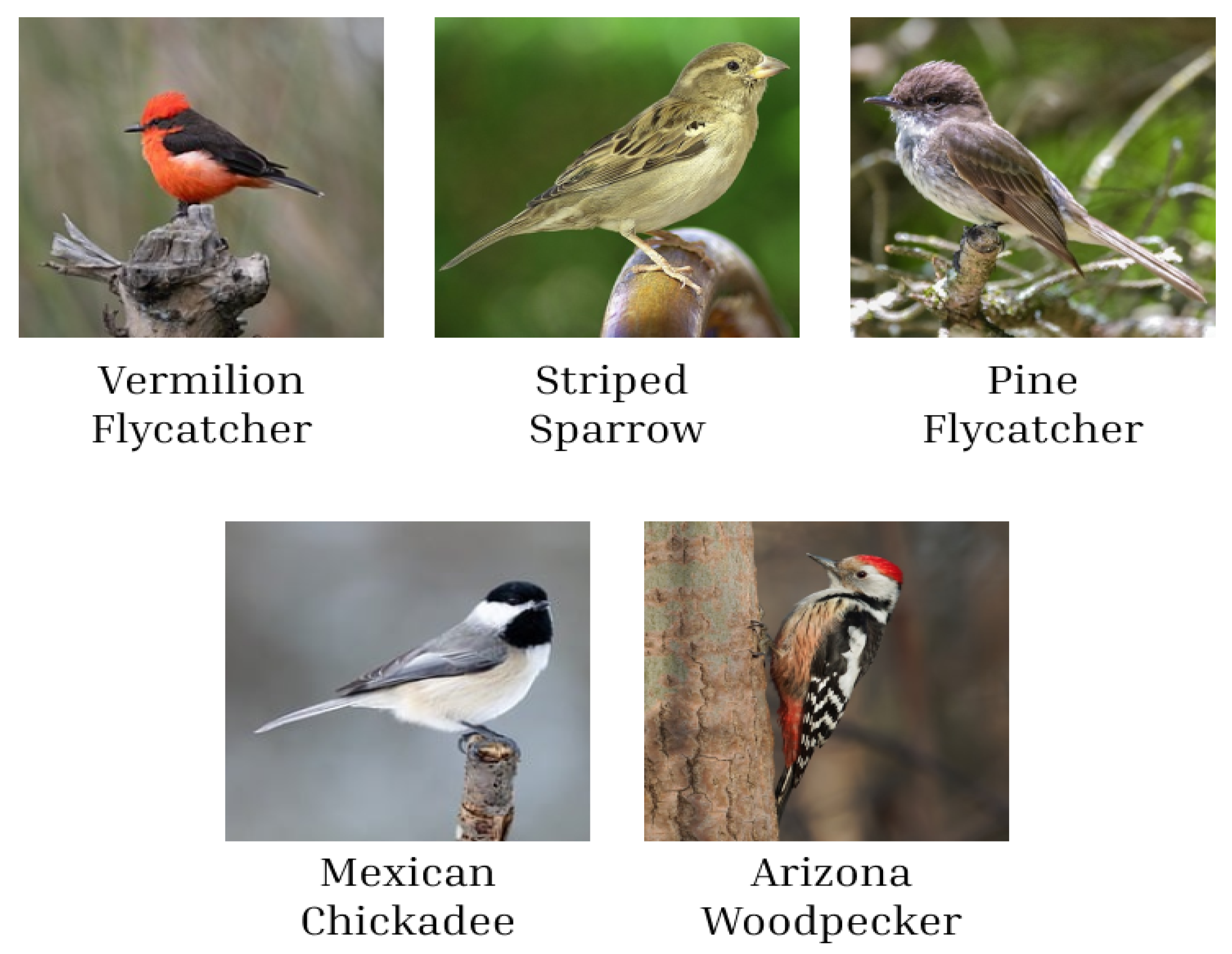 Ai 06 00057 g006 Ai 06 00057 g006