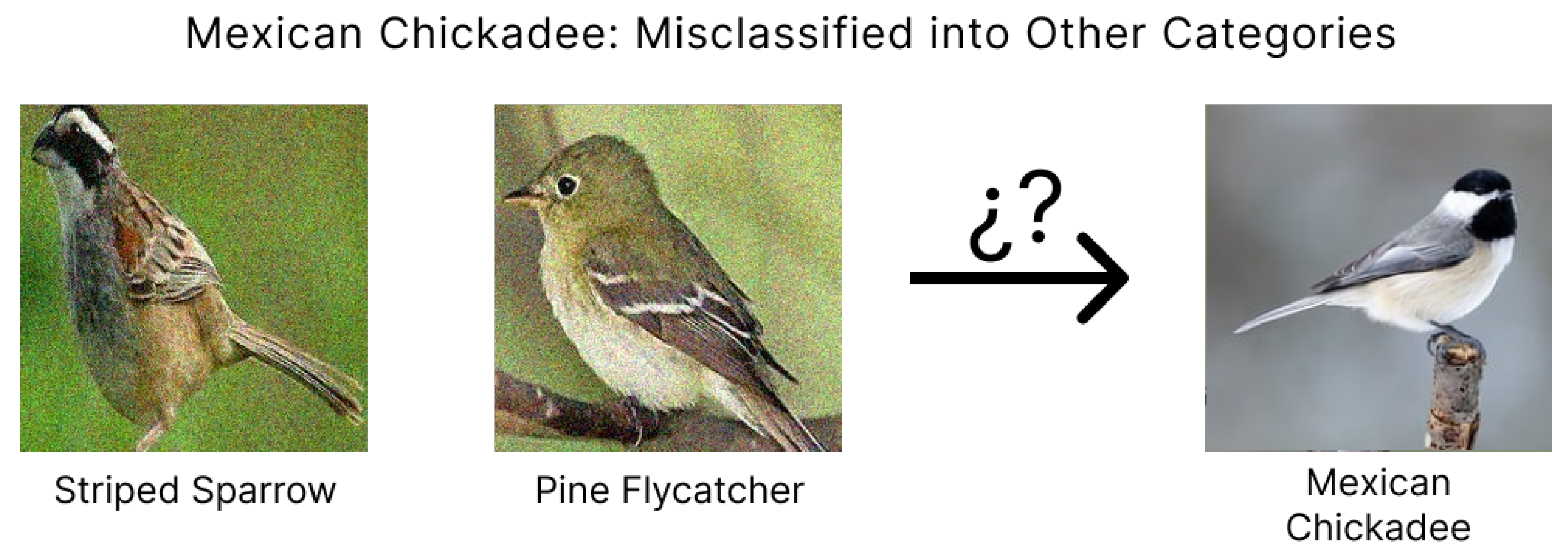 Ai 06 00057 g011 Ai 06 00057 g011