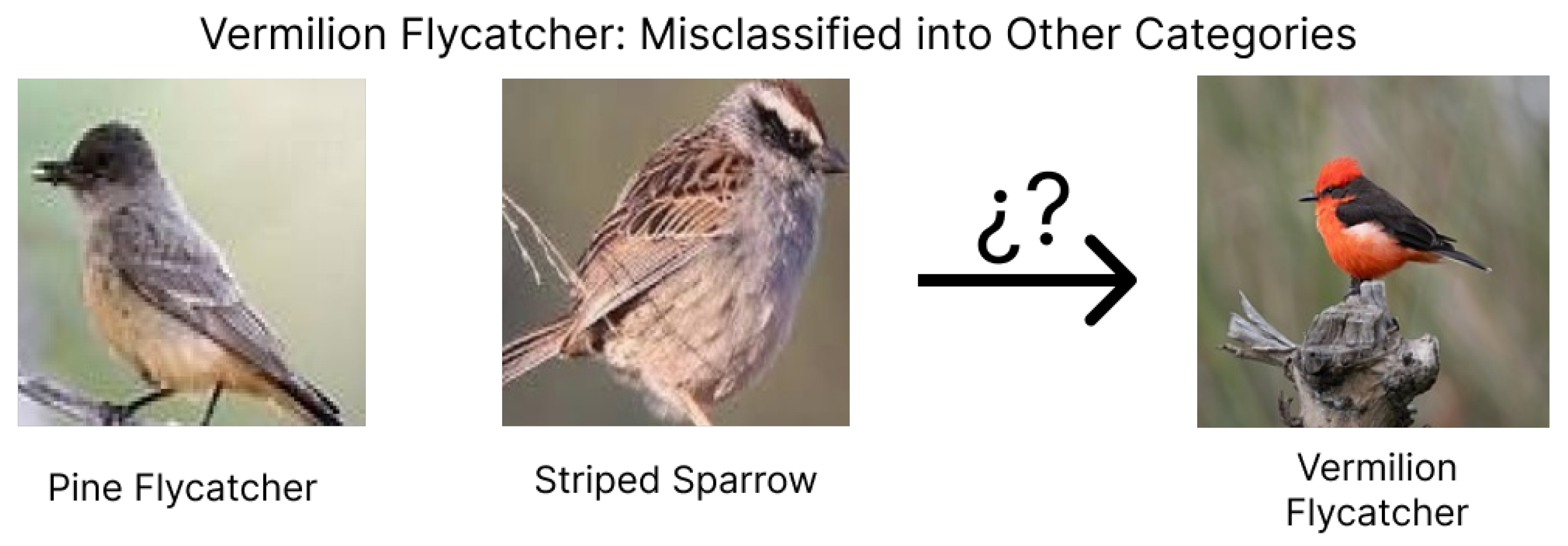 Ai 06 00057 g012 Ai 06 00057 g012