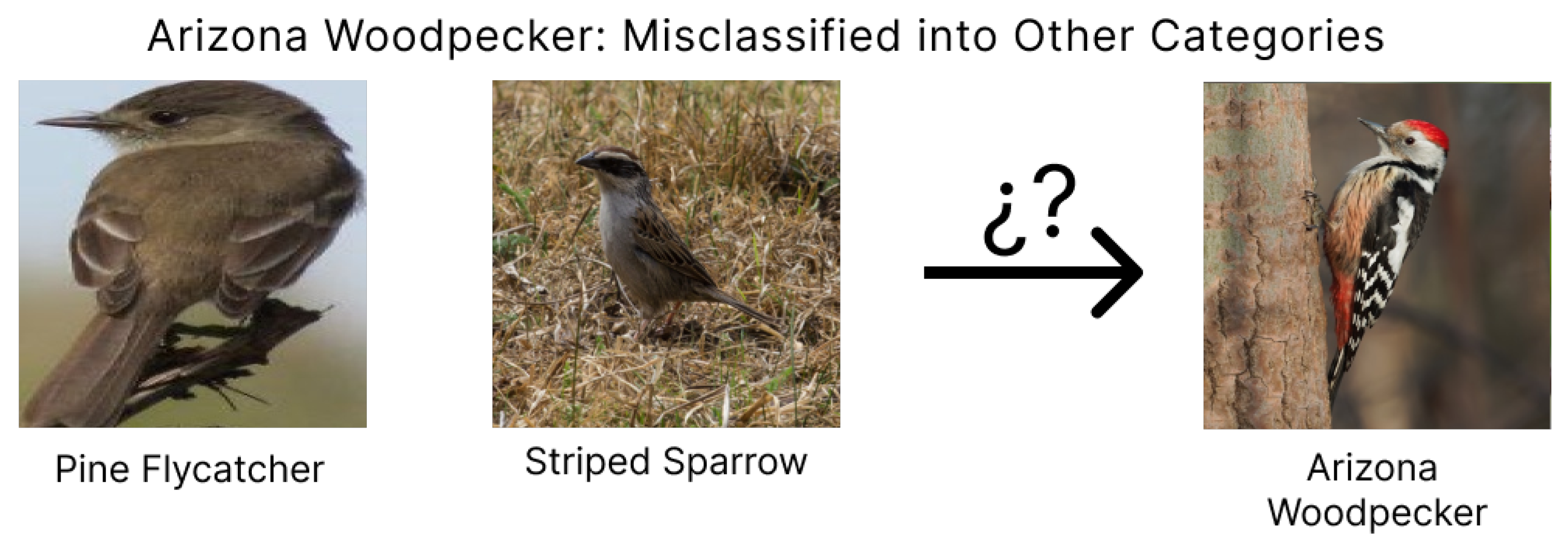 Ai 06 00057 g014 Ai 06 00057 g014