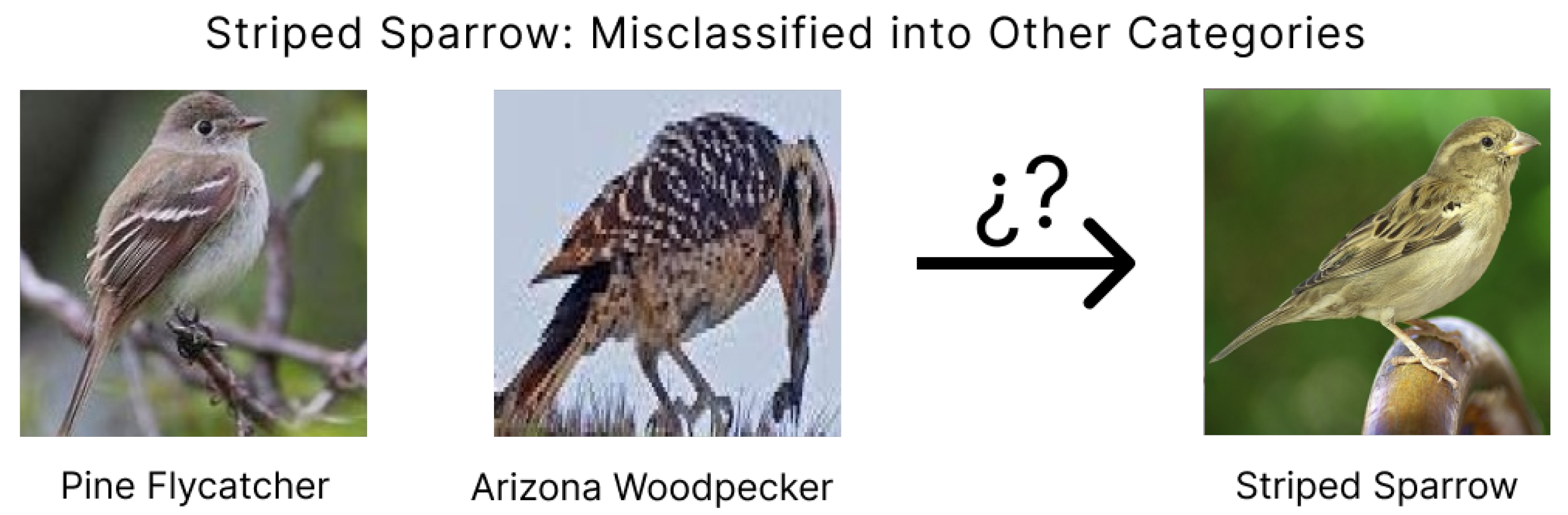 Ai 06 00057 g015 Ai 06 00057 g015