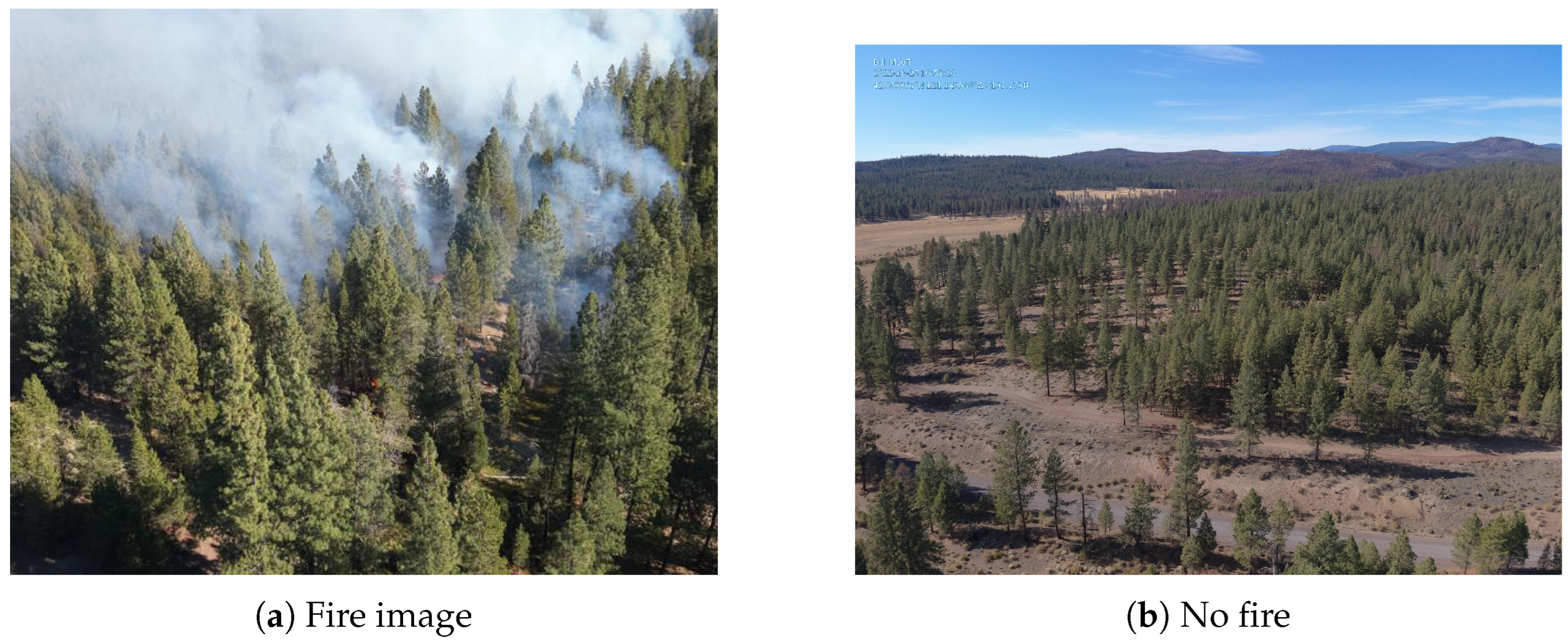 Ai 06 00253 g007 Ai 06 00253 g007