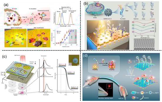 Aisens 01 00005 g003