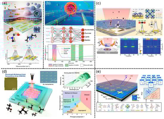 Aisens 01 00005 g004