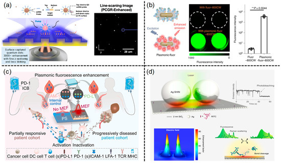 Aisens 01 00005 g007