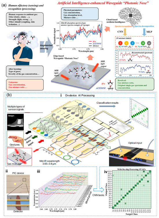 Aisens 01 00005 g009