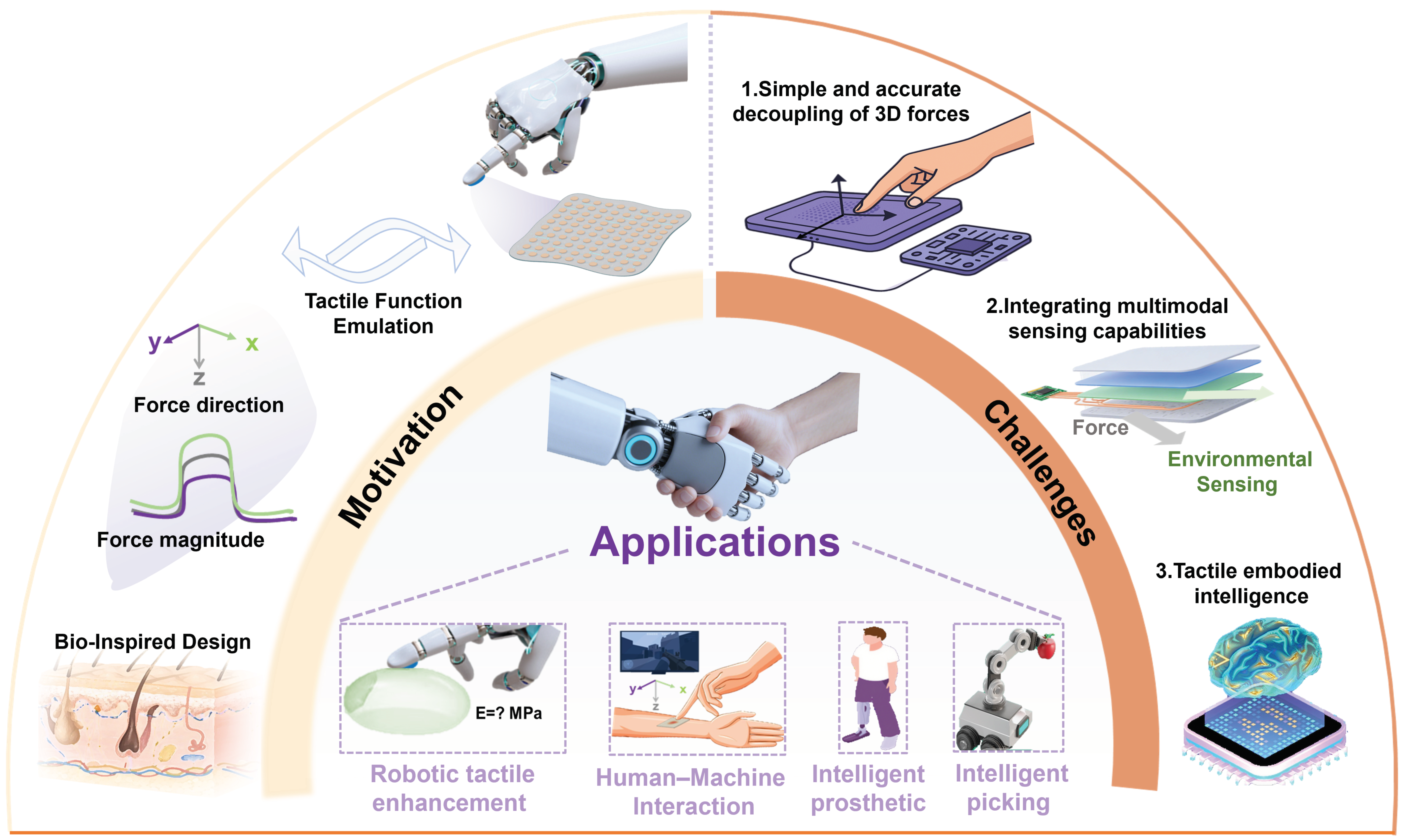 Aisens 01 00007 g001