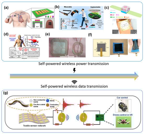 Aisens 01 00009 g008