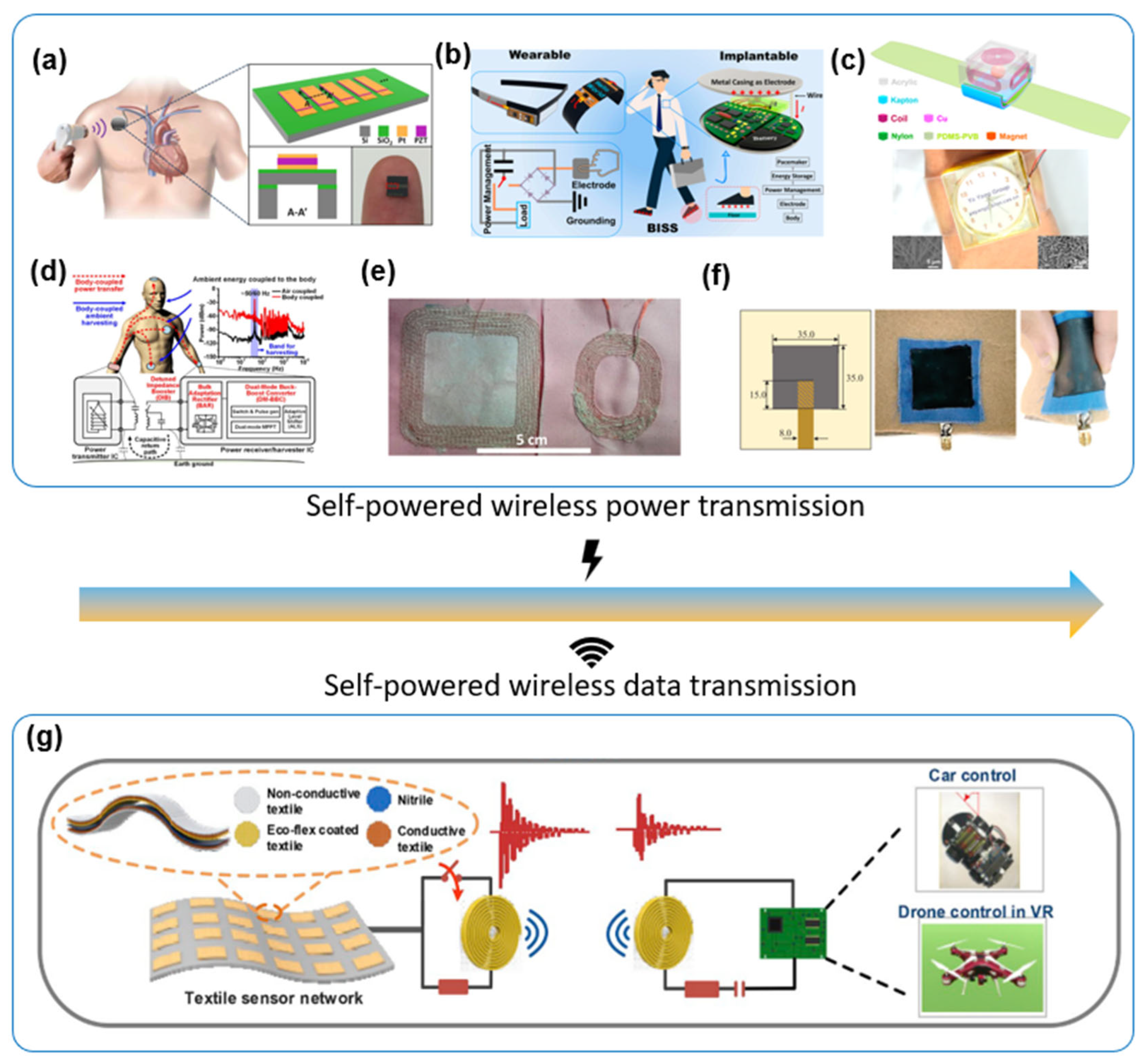 Aisens 01 00009 g008