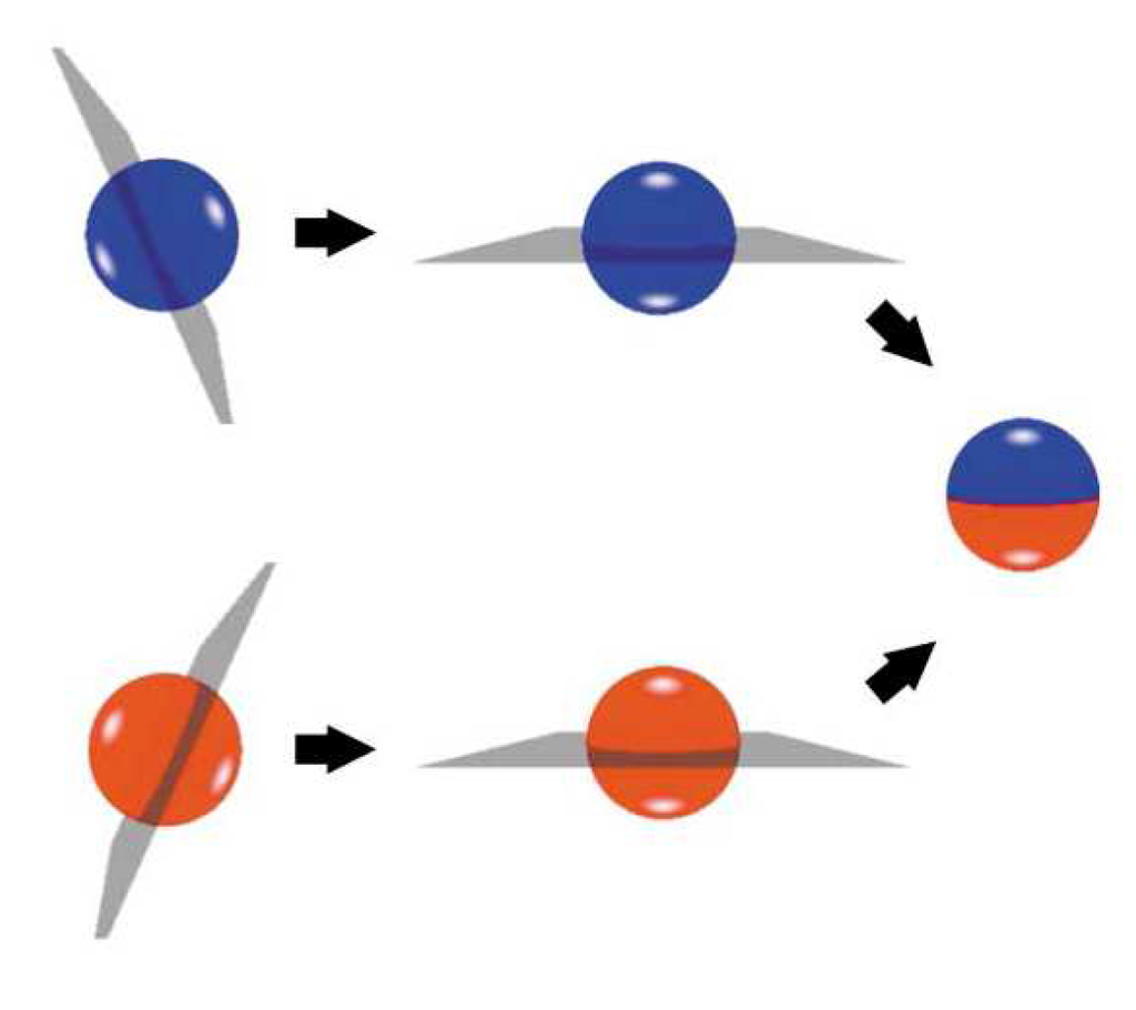 Algorithms 02 00410 g002 1024