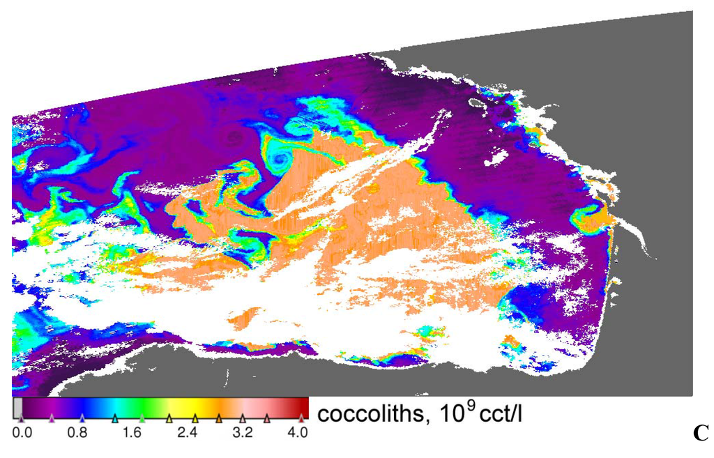 Algorithms 02 00470 g007b 1024