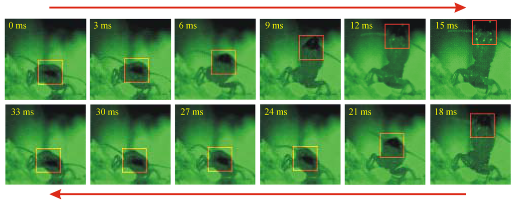 Algorithms 02 00533 g001 1024